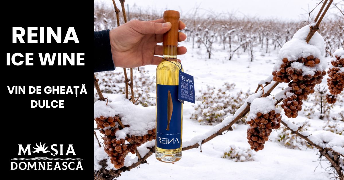 REINA_ICE_WINE_VIN_DE_GHEATA_DULCE