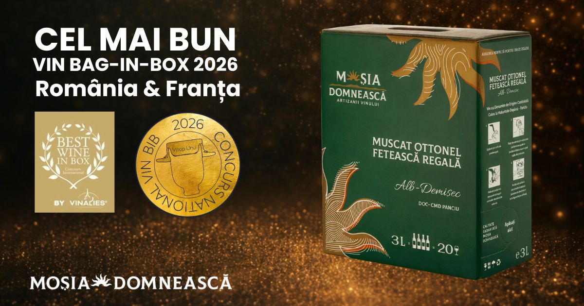 cel_mai_bun_bag_in_box_romania_franta_2026_vin_alb_demisec_muscat_ottonel_feteasca_regala