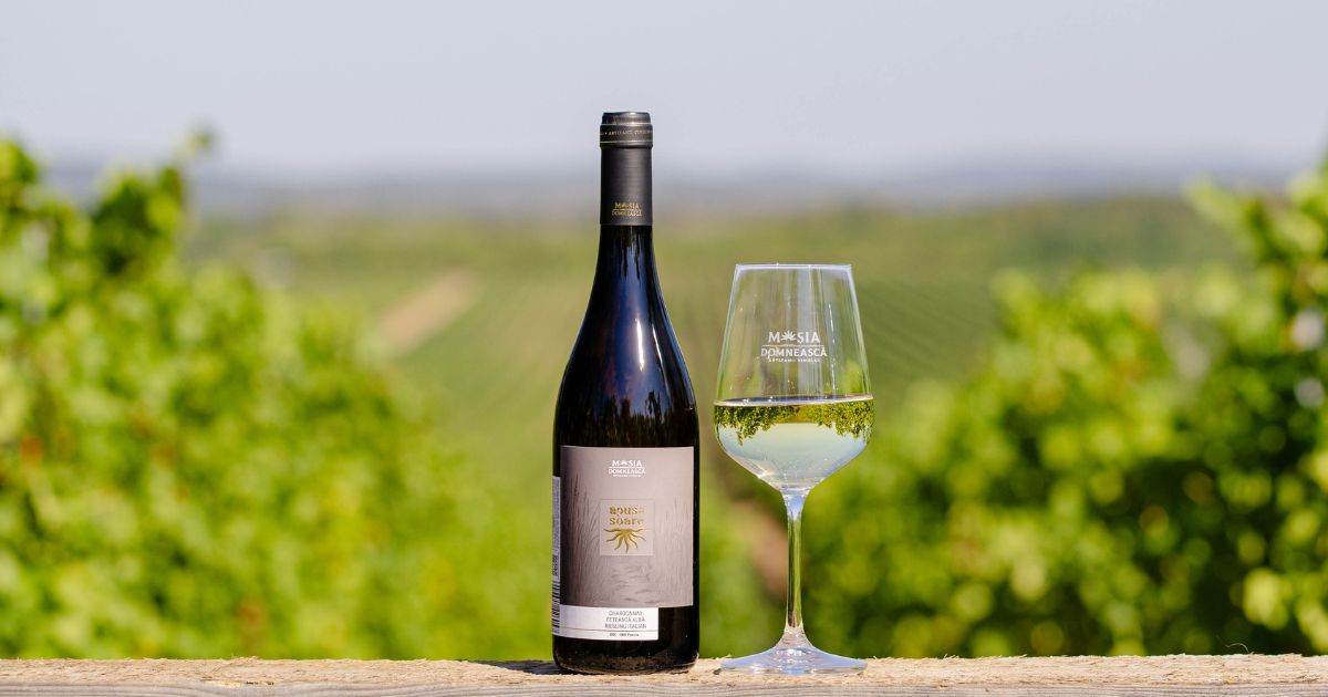 ziua_mondiala_a_sanatatii