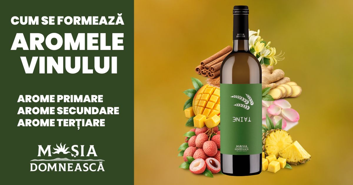 cum_se_formeaza_aromele_vinului