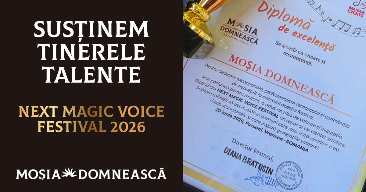 next_magic_voice_festival
