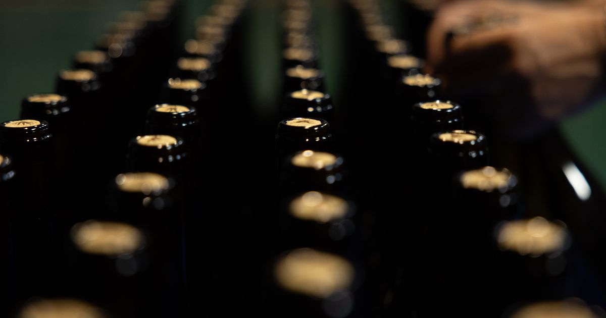structura_unui_vin
